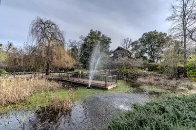 21645 Parrotts Ferry Rd, Columbia, CA 95310 - Photo 61