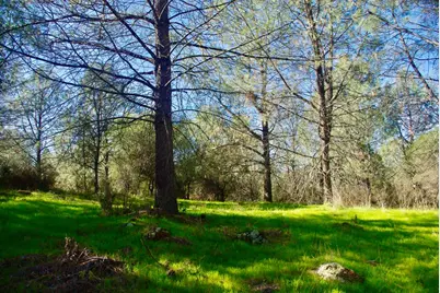 14331 Beitler Road, Nevada City, CA 95959 - Photo 9