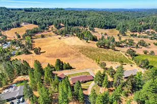 3700 Wilson Loop, Placerville, CA 95667 - Photo 41