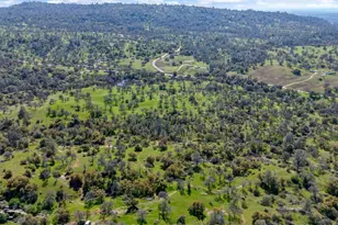 38289 Rd 415, Raymond, CA 93653 - Photo 41