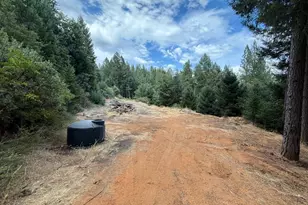 19707 Grizzly Creek Rd, Nevada City, CA 95959 - Photo 1