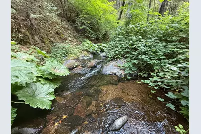 19707 Grizzly Creek Road, Nevada City, CA 95959 - Photo 9