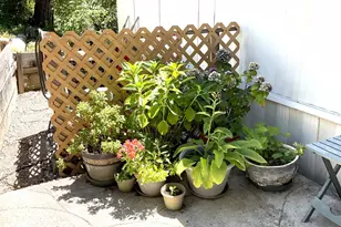 Mulberry Dr, Grass Valley, CA 95945 - Photo 23