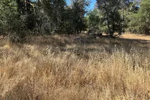 9153 Manzanita Ln, Oregon House, CA 95962 - Photo 53