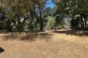 9153 Manzanita Ln, Oregon House, CA 95962 - Photo 51