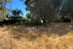 9153 Manzanita Ln, Oregon House, CA 95962 - Photo 65