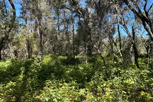 9153 Manzanita Ln, Oregon House, CA 95962 - Photo 59