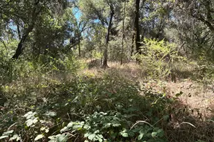 9153 Manzanita Ln, Oregon House, CA 95962 - Photo 37