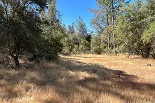 9153 Manzanita Ln, Oregon House, CA 95962 - Photo 55