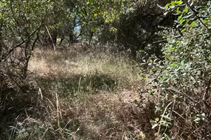 9153 Manzanita Ln, Oregon House, CA 95962 - Photo 63