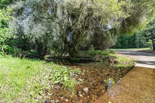 15111 Tyler Rd, Fiddletown, CA 95629 - Photo 7