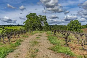 15111 Tyler Rd, Fiddletown, CA 95629 - Photo 79