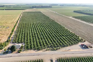 787 W Sutter Island Cross Rd, Courtland, CA 95615 - Photo 1