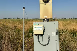 787 W Sutter Island Cross Rd, Courtland, CA 95615 - Photo 21