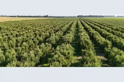 787 W Sutter Island Cross Road, Courtland, CA 95615 - Photo 3