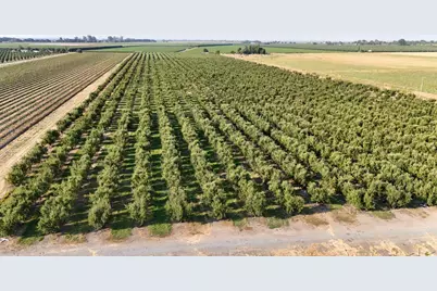 787 W Sutter Island Cross Road, Courtland, CA 95615 - Photo 9