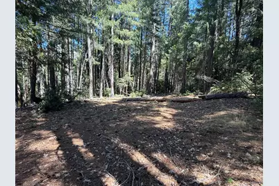 17400 Grizzly Ridge Road, Nevada City, CA 95959 - Photo 27