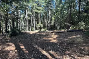 17400 Grizzly Ridge Rd, Nevada City, CA 95959 - Photo 27