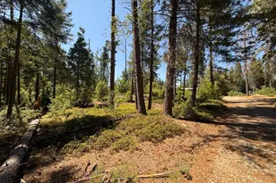 17400 Grizzly Ridge Rd, Nevada City, CA 95959 - Photo 31