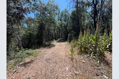 15473 Blind Shady Road, Nevada City, CA 95959 - Photo 7