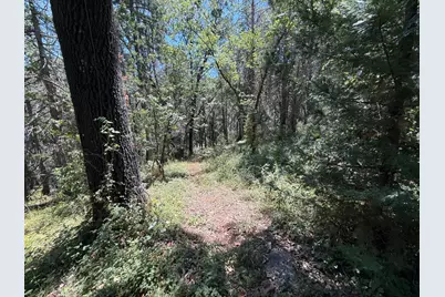 15473 Blind Shady Road, Nevada City, CA 95959 - Photo 9