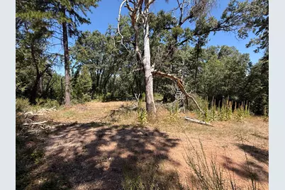 15473 Blind Shady Road, Nevada City, CA 95959 - Photo 5