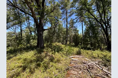 15473 Blind Shady Road, Nevada City, CA 95959 - Photo 11