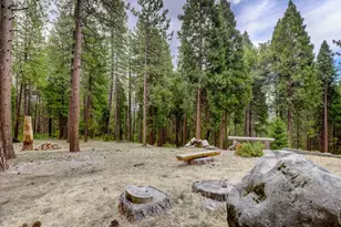 18125 Douglas Rd, Nevada City, CA 95959 - Photo 45