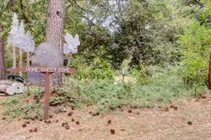 18125 Douglas Rd, Nevada City, CA 95959 - Photo 63