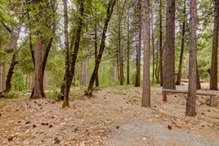 18125 Douglas Rd, Nevada City, CA 95959 - Photo 45