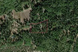 18125 Douglas Rd, Nevada City, CA 95959 - Photo 75