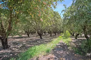 2404 Sultana Ave, Atwater, CA 95301 - Photo 41