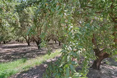 2404 Sultana Avenue, Atwater, CA 95301 - Photo 43