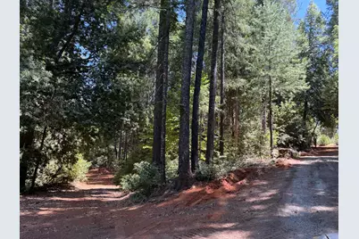 16941 Weeds Point Road, Camptonville, CA 95922 - Photo 33