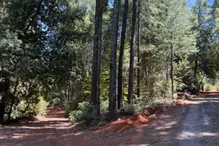 16941 Weeds Point Rd, Camptonville, CA 95922 - Photo 33