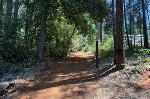 16941 Weeds Point Rd, Camptonville, CA 95922 - Photo 37