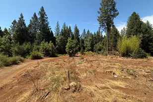 16941 Weeds Point Rd, Camptonville, CA 95922 - Photo 35