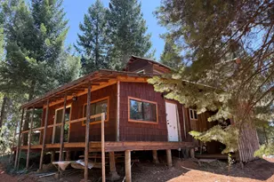 16941 Weeds Point Rd, Camptonville, CA 95922 - Photo 7