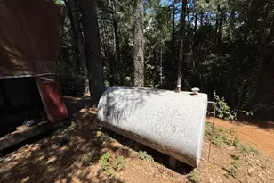 16941 Weeds Point Rd, Camptonville, CA 95922 - Photo 23