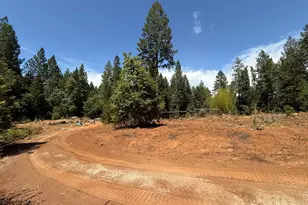 16941 Weeds Point Rd, Camptonville, CA 95922 - Photo 37