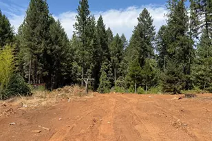 16941 Weeds Point Rd, Camptonville, CA 95922 - Photo 35