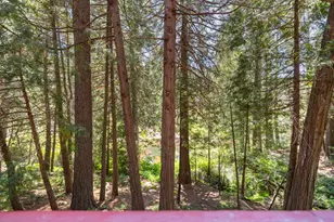 28549 S Stan Ct, Strawberry, CA 95375 - Photo 25