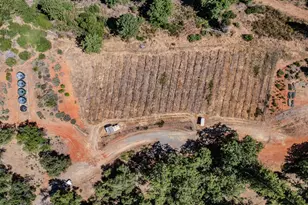 2781 Mason Rd, Rail Road Flat, CA 95245 - Photo 3