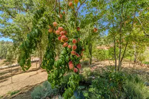 2781 Mason Rd, Rail Road Flat, CA 95245 - Photo 53