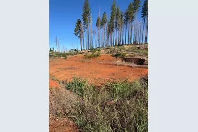 4491 String Canyon Road, Grizzly Flats, CA 95636 - Photo 5