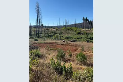 4491 String Canyon Road, Grizzly Flats, CA 95636 - Photo 1