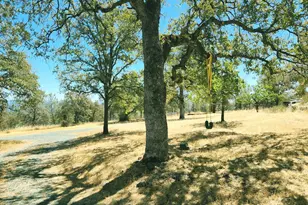 9051 Regent Way, Oregon House, CA 95962 - Photo 9