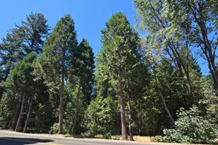 5435 Pony Express Trail, Camino, CA 95709 - Photo 1