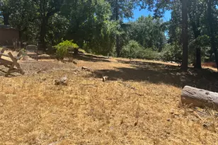 15574 Hinton Rd, Pioneer, CA 95666 - Photo 17