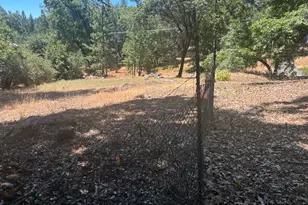 15574 Hinton Rd, Pioneer, CA 95666 - Photo 9